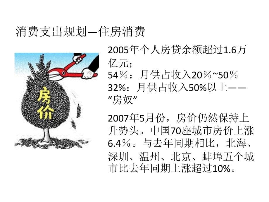 理财规划师之消费支出规划_第5页