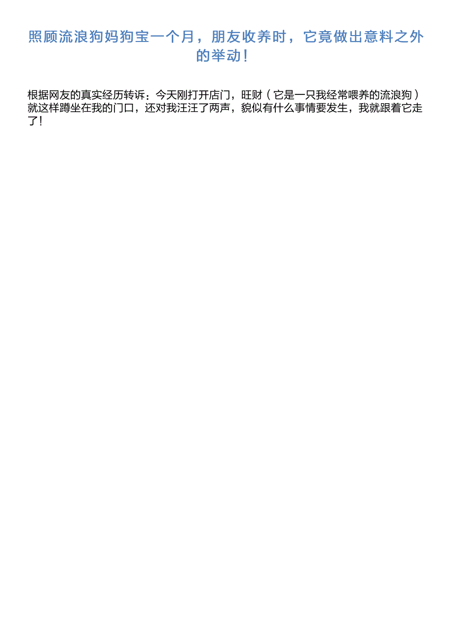 照顾流浪狗妈狗宝一个月,朋友收养时,它竟做出意料之外的举动!_第1页