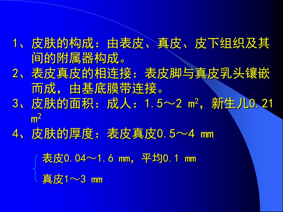 皮肤的结构及其生理功能 课件_第3页