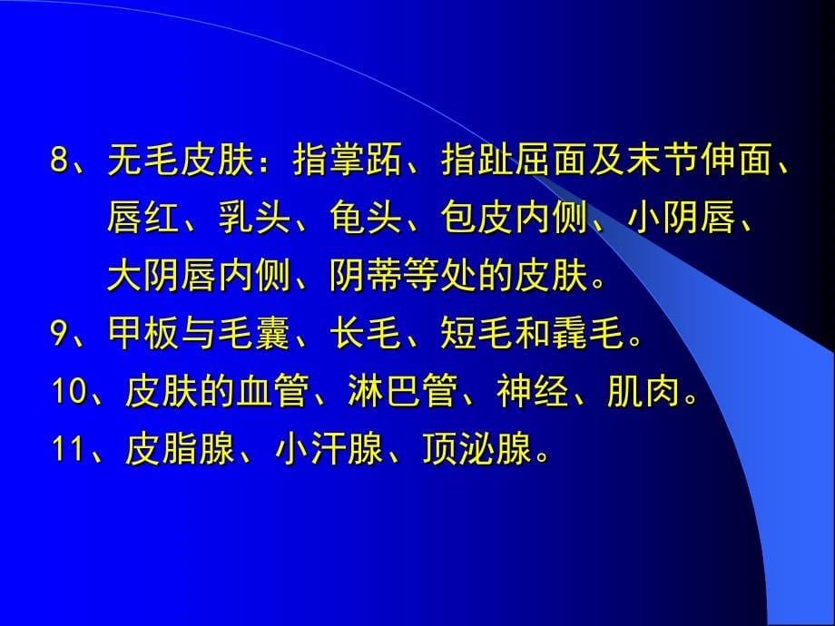 皮肤的结构及其生理功能 课件_第5页