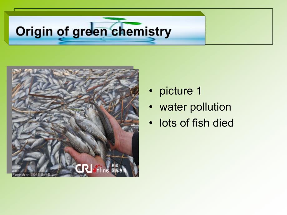 英语演讲ppt_绿色化学的简介_第3页