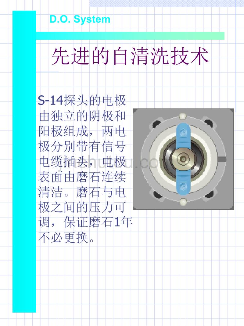 溶解氧中文幻灯片_第3页