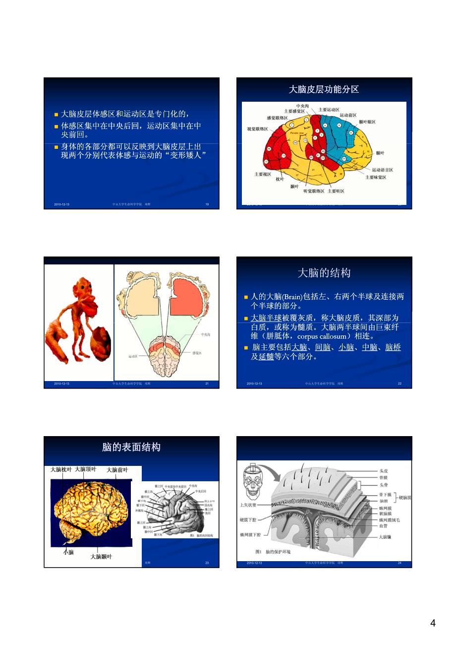 2010脑科学b_第4页