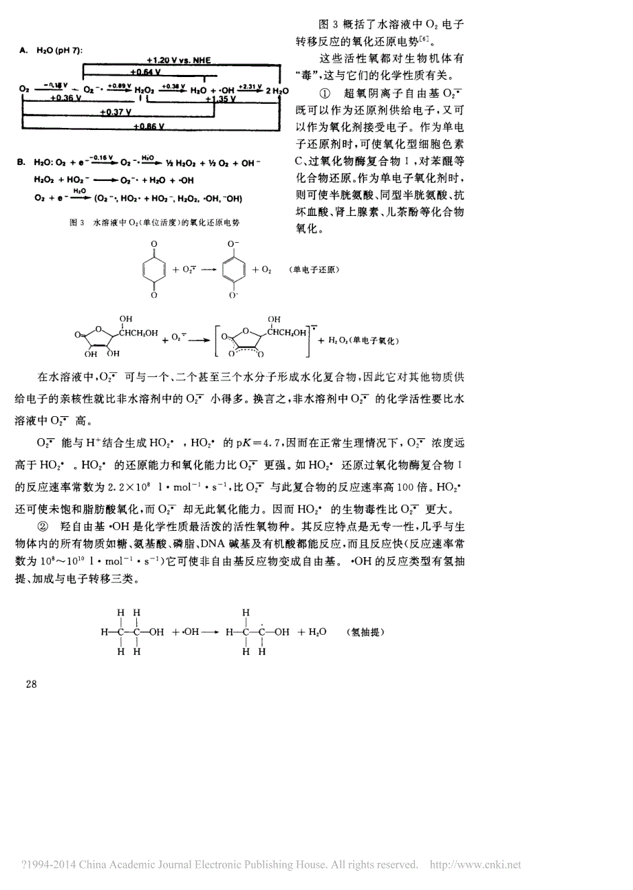 分子氧_活性氧与生命_临床医学_医药卫生_专业资料_第3页