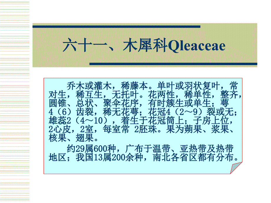 木犀科qleaceae_第1页