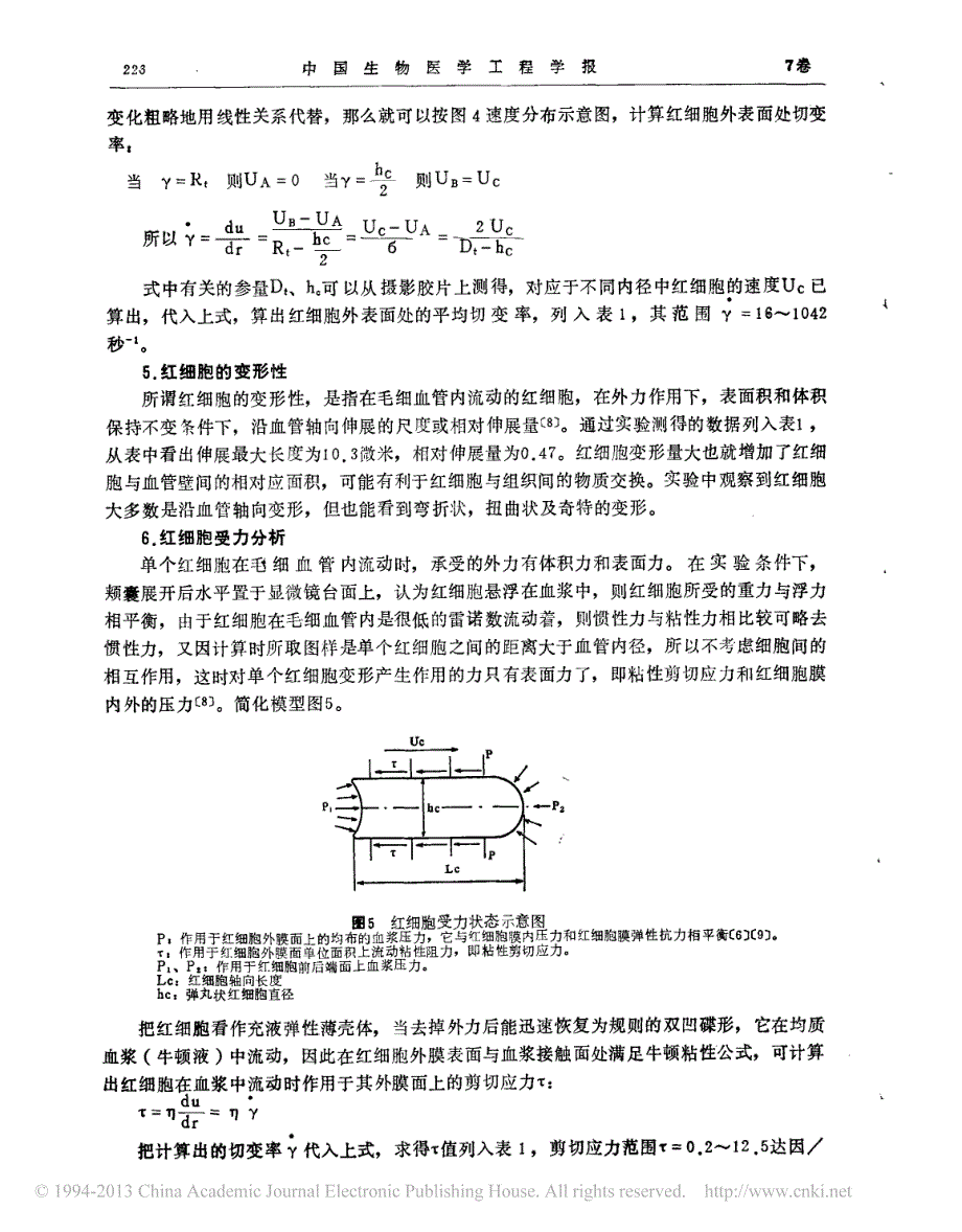 毛细血管内红细胞流态与受力关系的研究_第4页