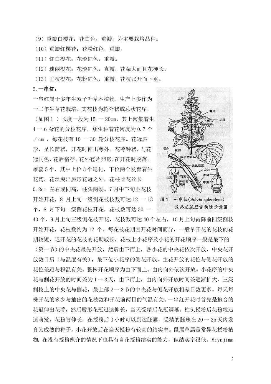 2012.4.4樱花物候期的观察_第2页