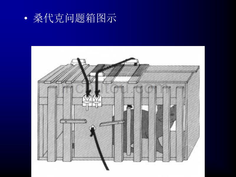 经典学习理论与实验_第3页