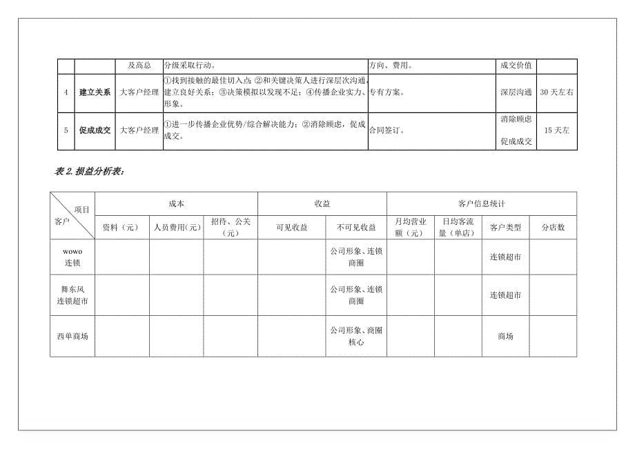 大客户开发计划_第5页