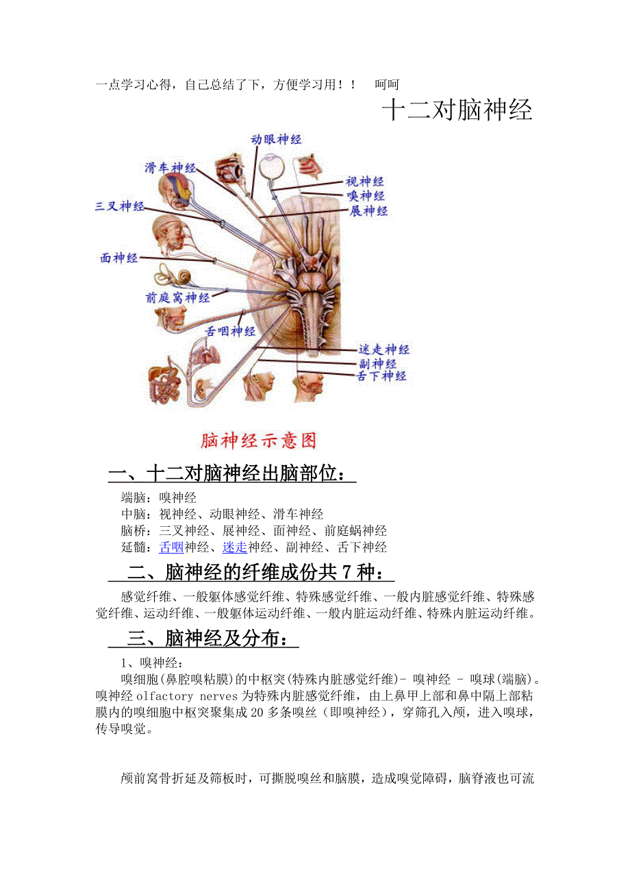 临床医学系脑神经总结_第1页