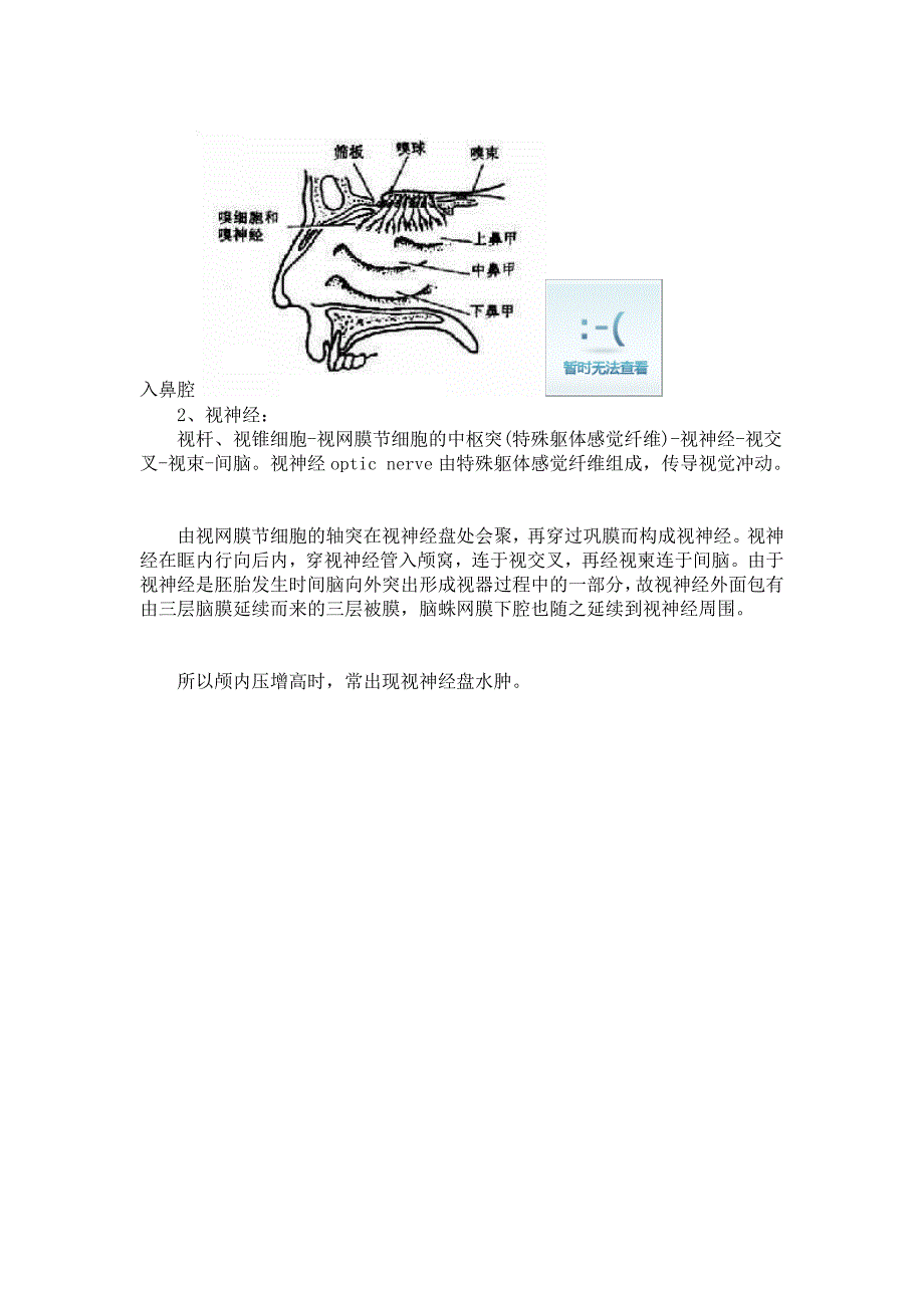 临床医学系脑神经总结_第2页