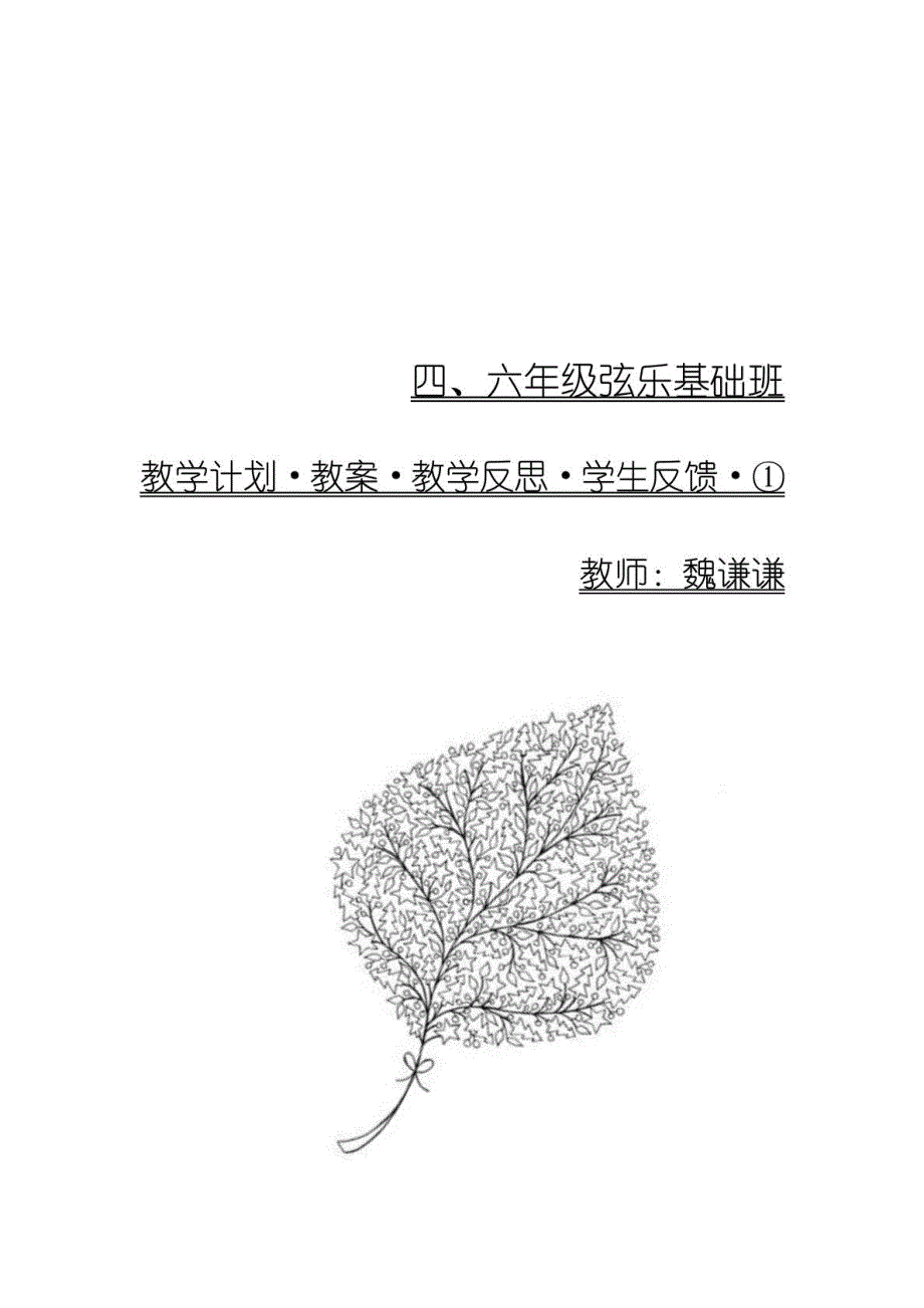 小提琴初级班集体课教学计划·教案·教学反思·学生反馈_第1页