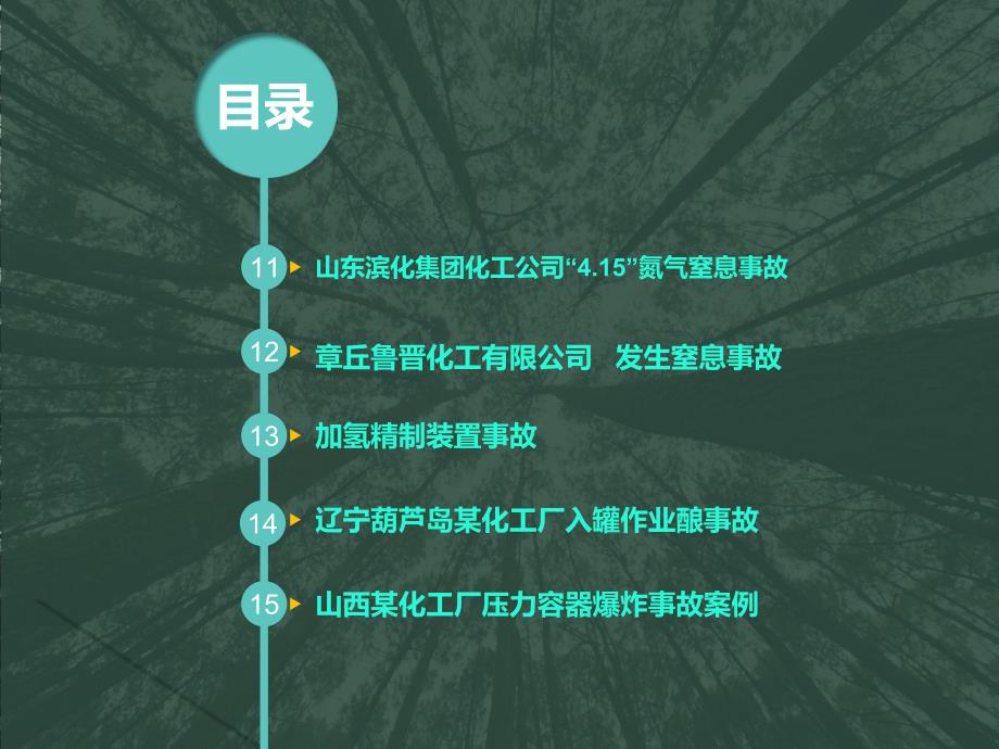 安全事故案例分析 [自动保存的]_第4页