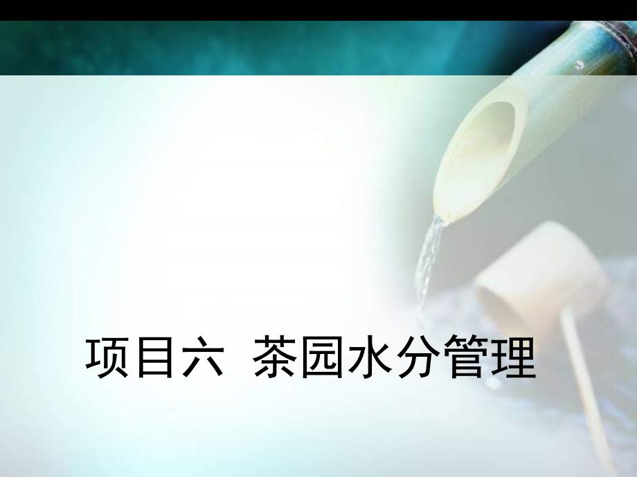 项目六 茶园水分管理_第1页