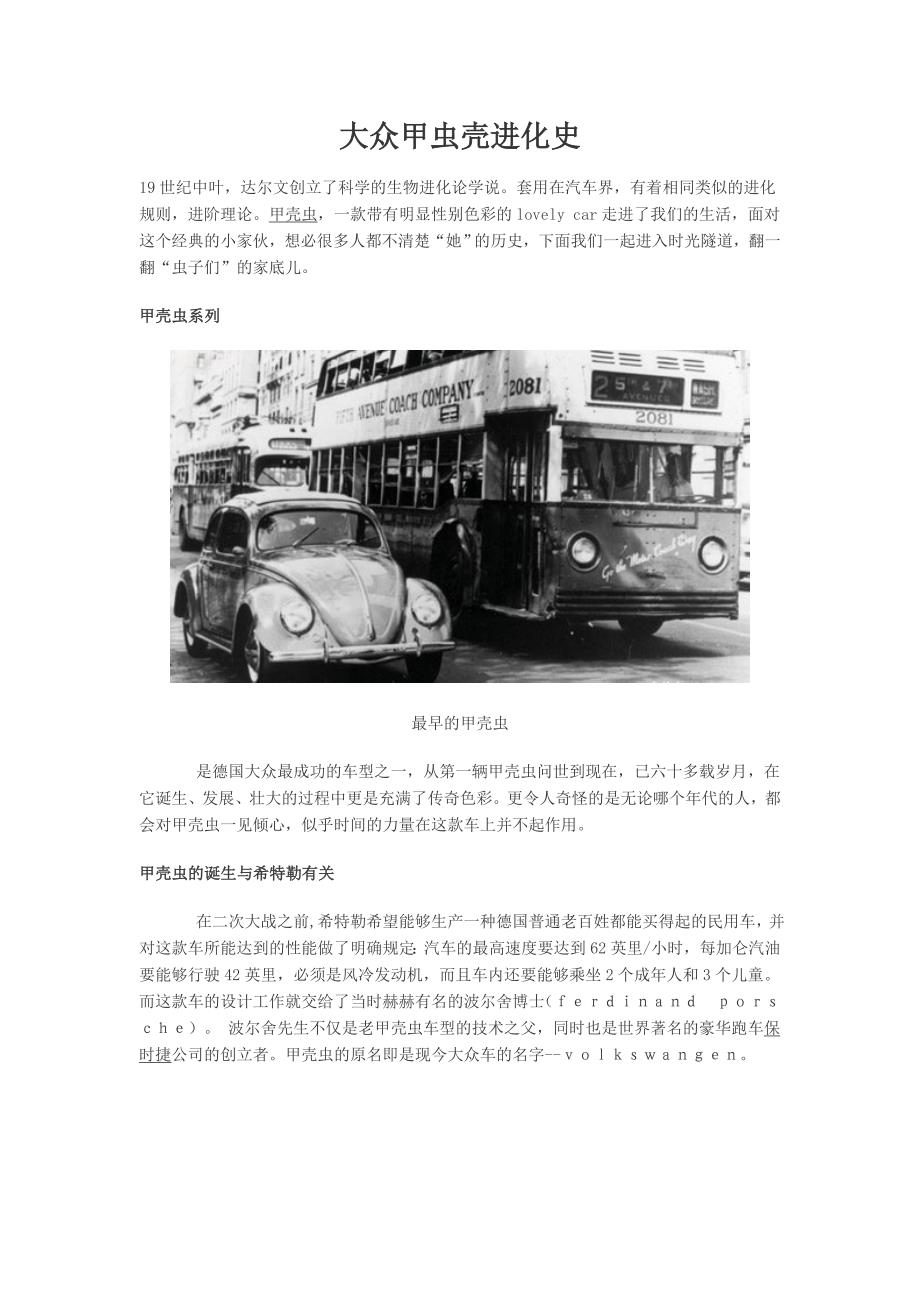 大众甲虫壳进化史_第1页