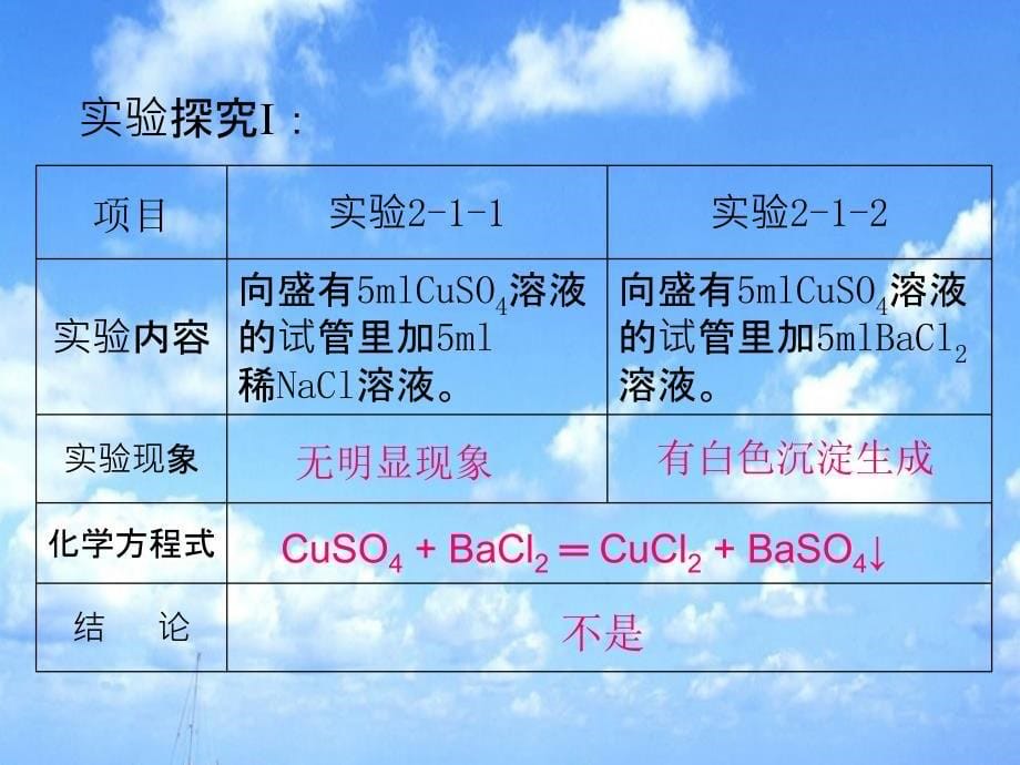 《离子反应及其发生的条件》教学案例_第5页