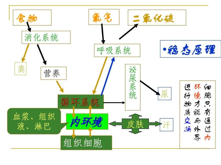 外科护理学-水电解质酸碱代谢失衡病人的护理_第4页