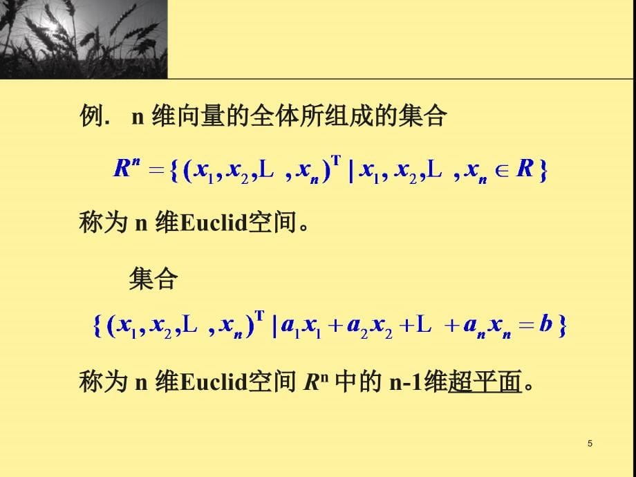 同济大学线性代数课件第四章_第5页