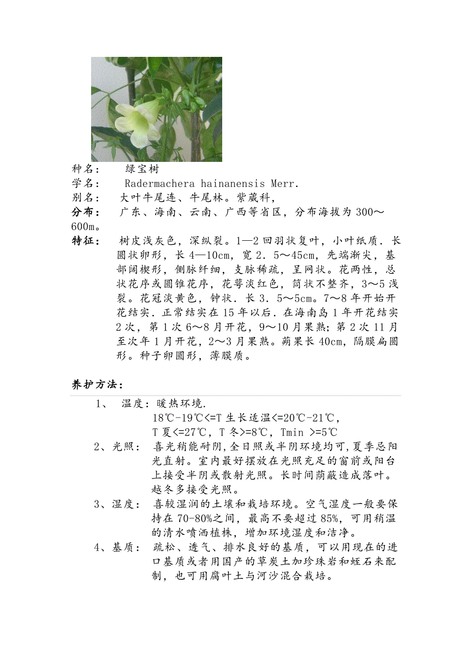 2012年花卉知识汇总_第1页