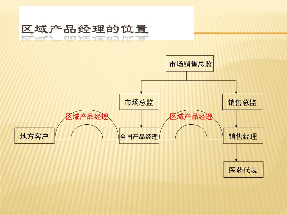 医药区域产品经理项目与行动计划制定POA_第2页