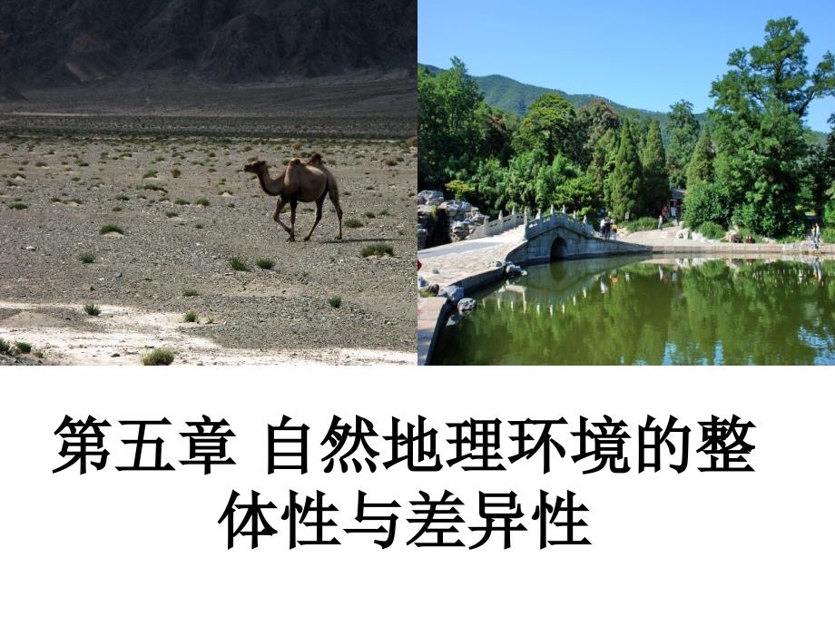 高中地理-自然地理环境的整体性_第1页