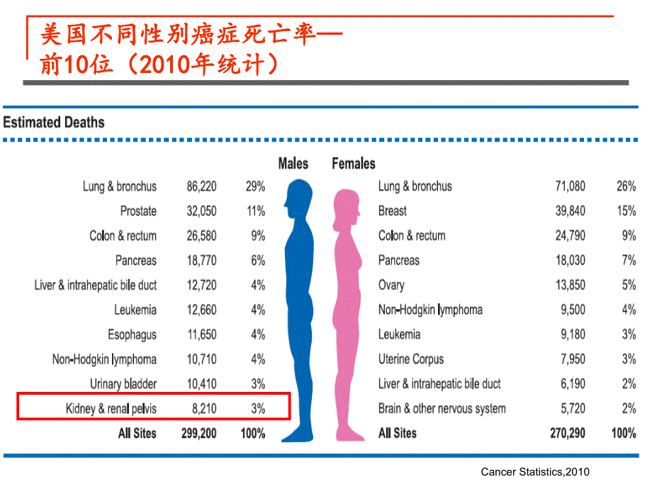 肾癌内科治疗_第3页