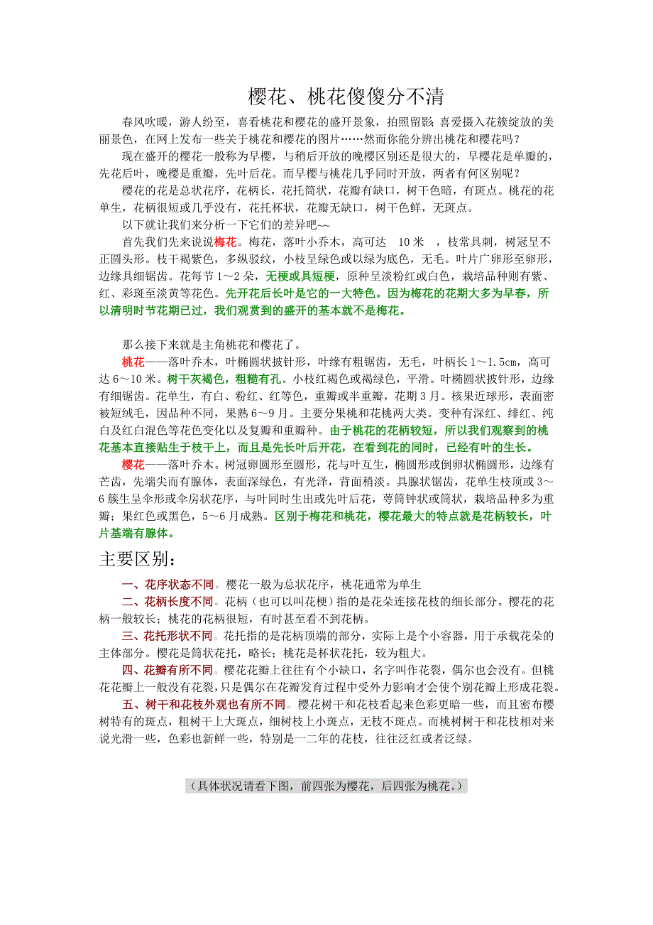 园林植物鉴赏——桃花、樱花比较_第1页