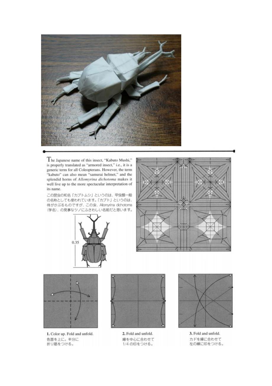 折纸昆虫 武士头盔甲虫_第1页