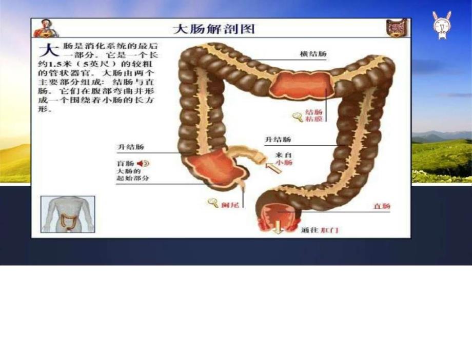 直肠癌伴多发转移的护理查房_图文_第3页