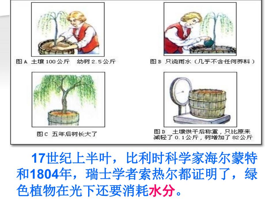 绿色植物与生物圈的碳-氧平衡及爱护植被绿化祖国_第2页