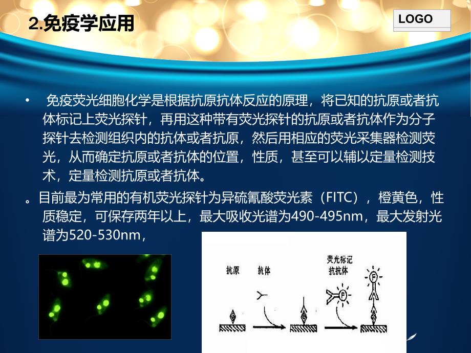 荧光探针及其生物学研究中的应用_第4页