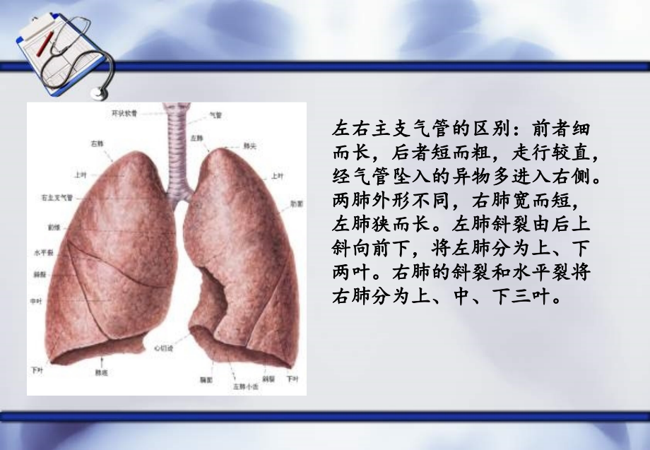 呼吸系统疾病临床医学概论课件_第3页