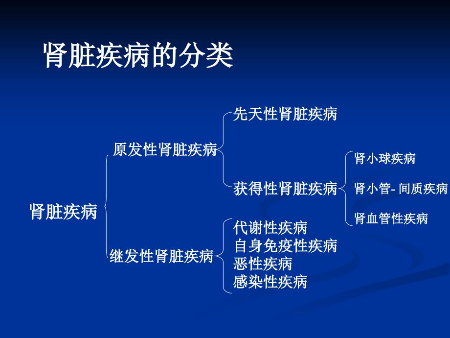 肾脏疾病的诊断思路与技巧2_第3页