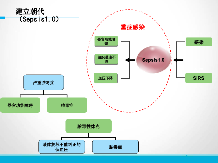 脓毒症及感染性休克诊断治疗的新进展_第3页