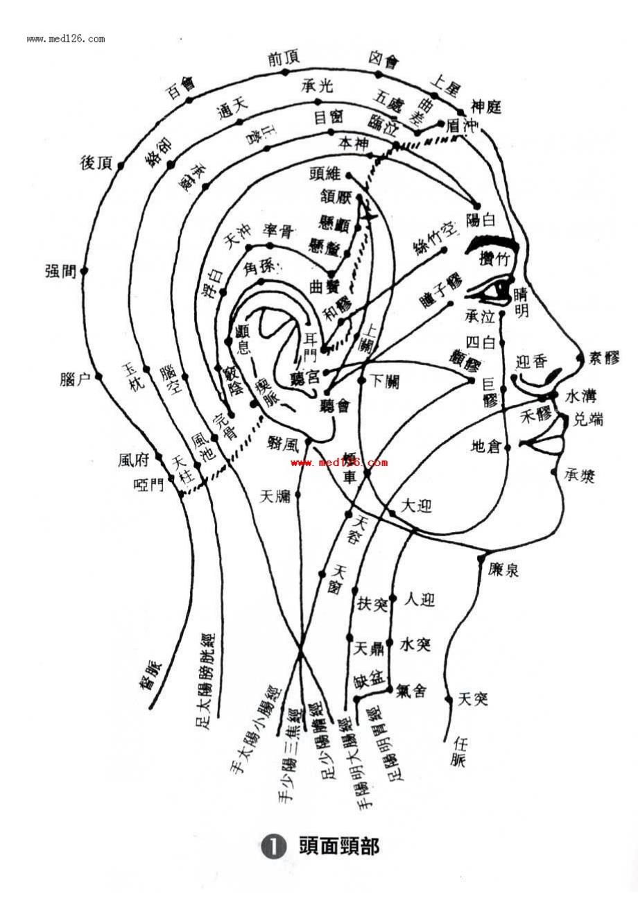 头部侧面穴位图_第2页