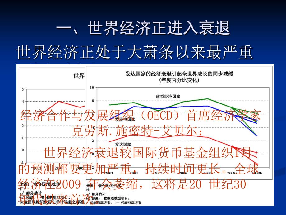 2009年全球经济形势_第4页