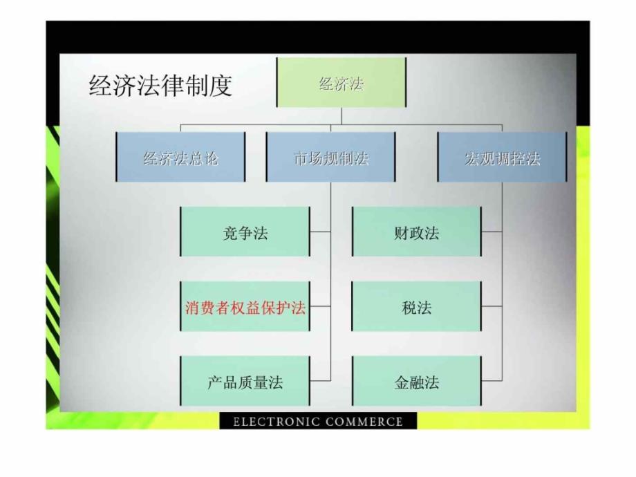 选修-经典法律案例评析-经济法-消费者权益保护法_第4页