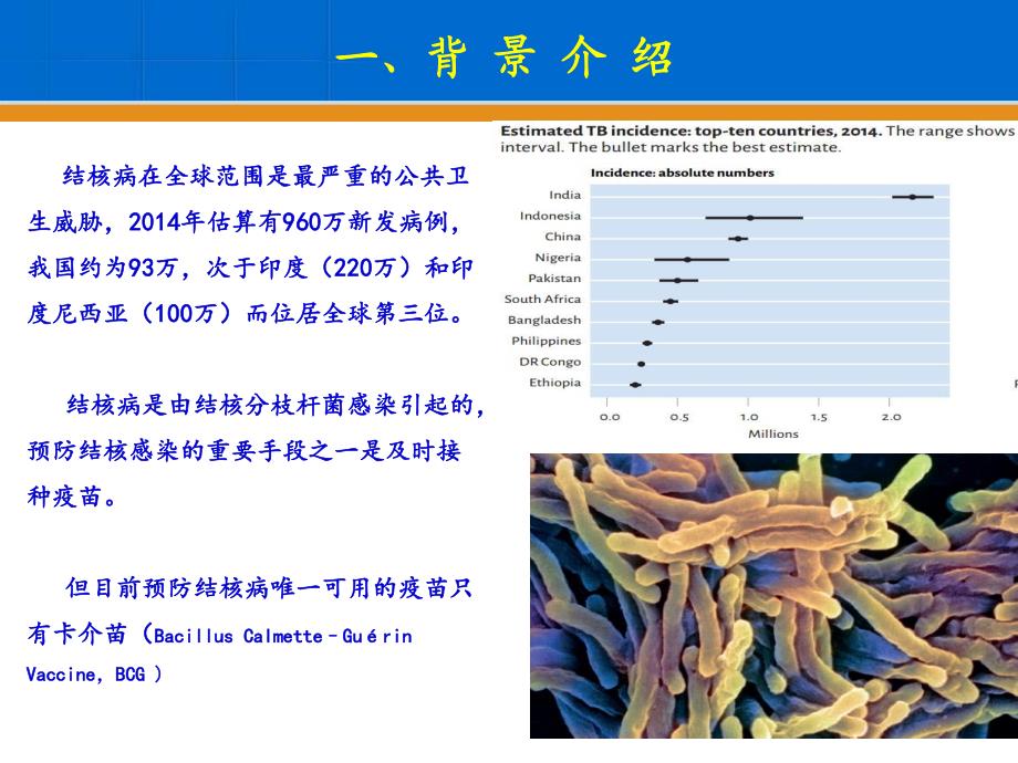 结核病免疫预防体系的建立_第3页