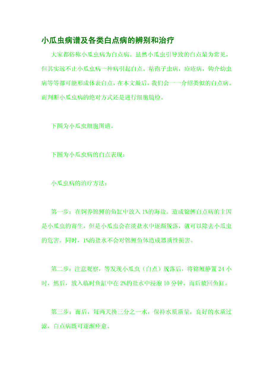 小瓜虫病谱及各类白点病的辨别和治疗_第1页