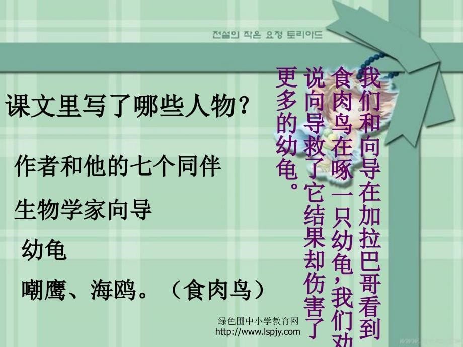 《自然之道》ppt_第5页