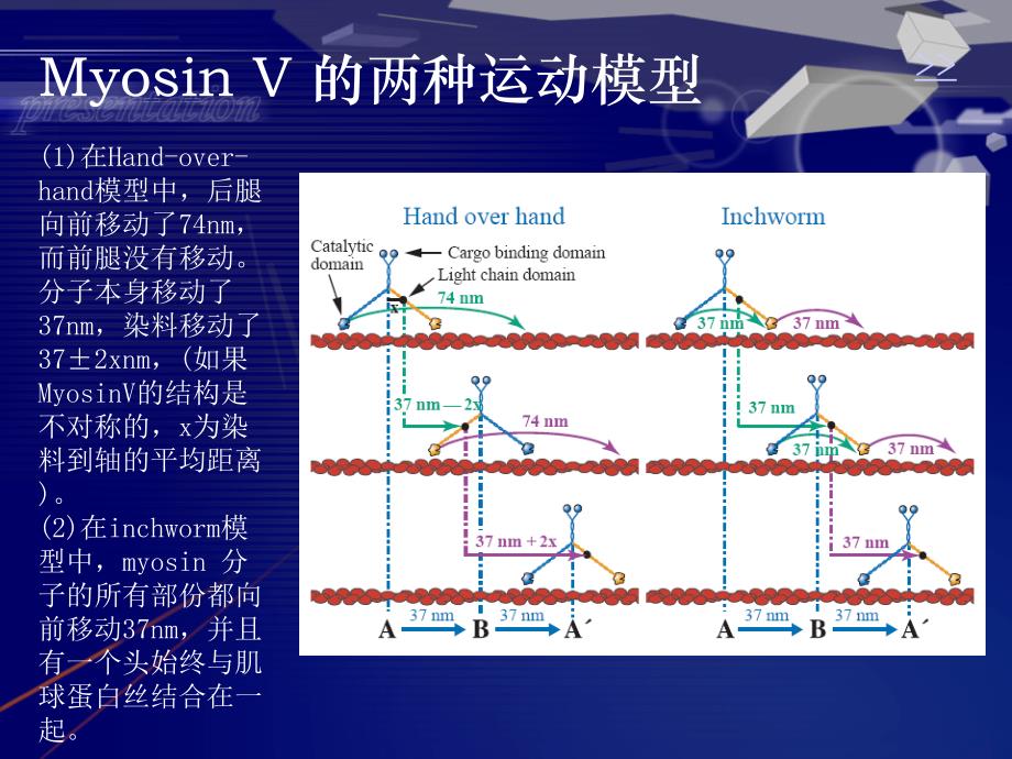 利用荧光显微技术研究生物单分子_第4页