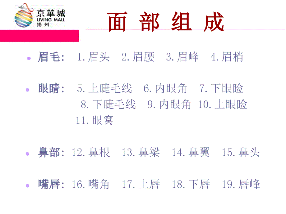 化妆基础知识(上).ppt6_第3页