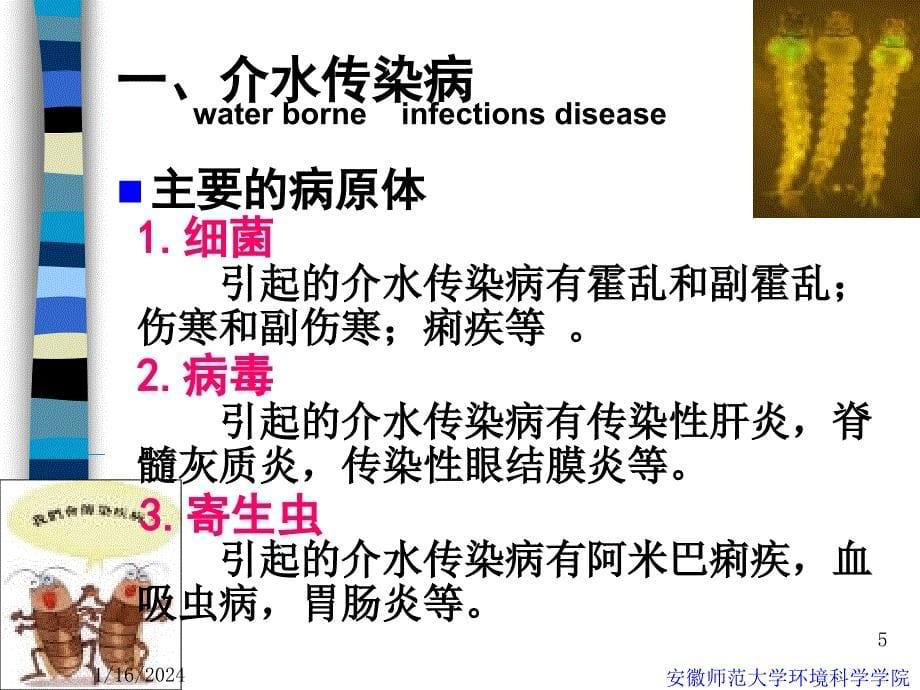 饮用水与健康1_第5页