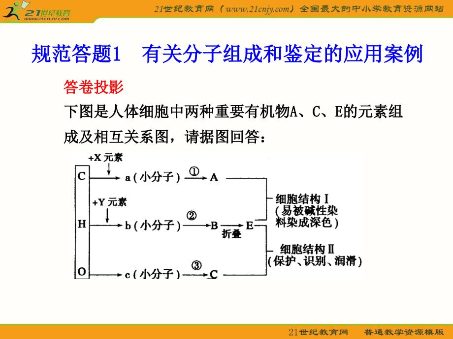 生物规范答题：有关分子组成和鉴定的应用案例_第1页