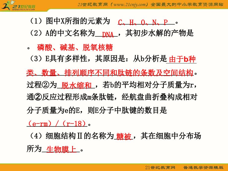 生物规范答题：有关分子组成和鉴定的应用案例_第2页