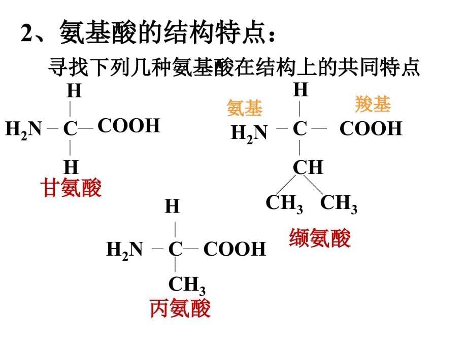 生命活动的主要承担者1_高一生物_第5页