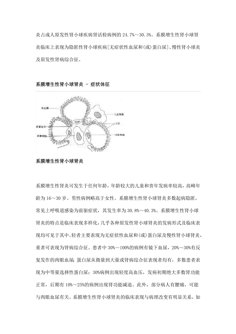 系膜增生性肾小球肾炎_第3页