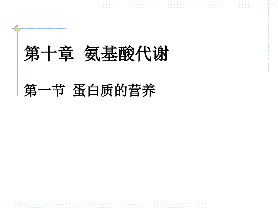 氨基酸代谢1.1_第3页