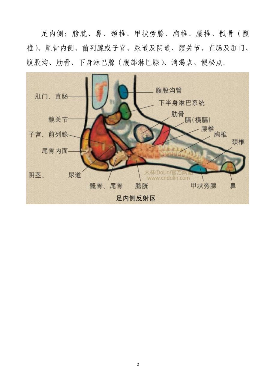 足疗方法及足部反射区(配高清图)_第2页