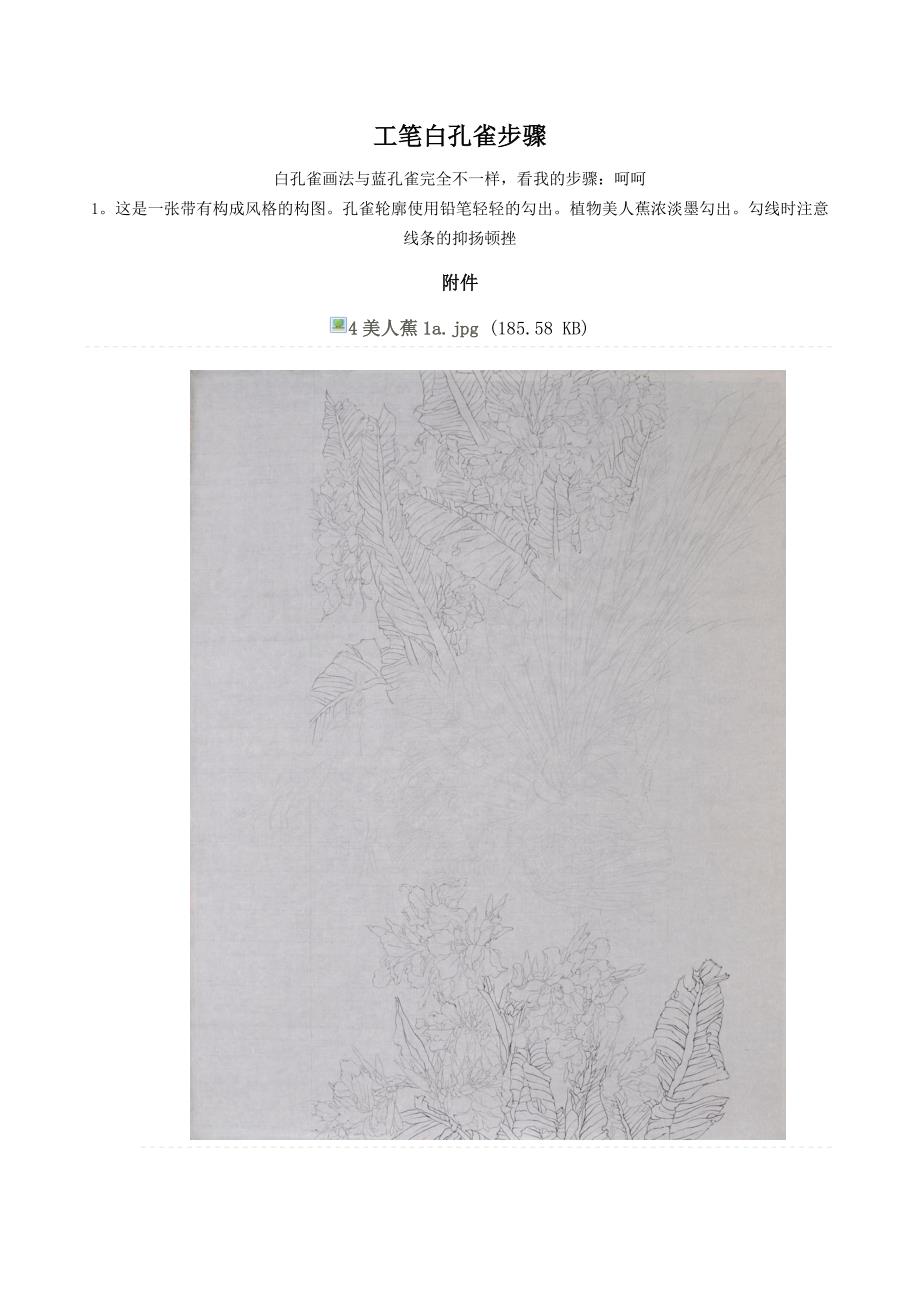 工笔画白孔雀步骤_第1页